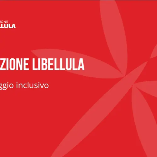 Fondazione Libellula - Il Linguaggio Inclusivo
